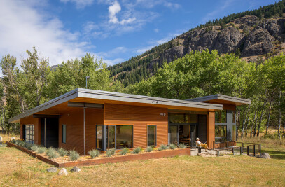Aspen Grove